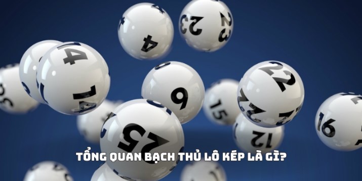 Tổng quan về bạch thủ lô kép